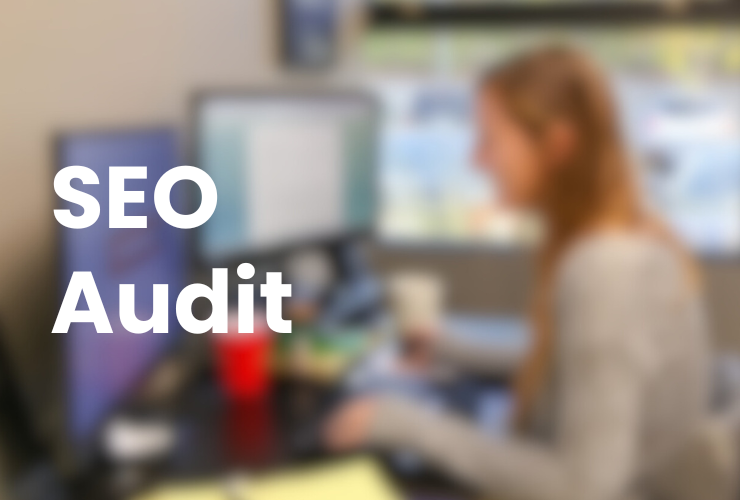seo audit company thousand oaks